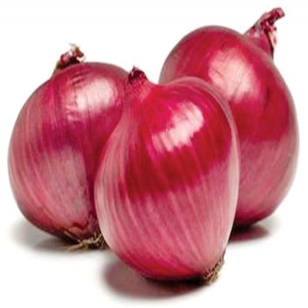 Red Onions 1X10KG03